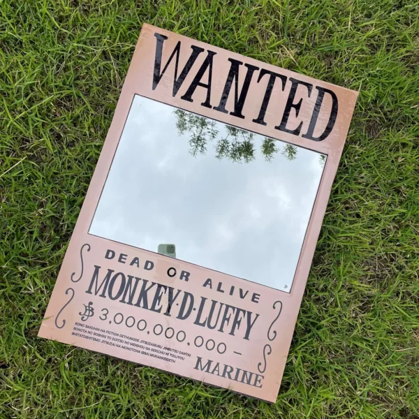 One piece wanted mirror